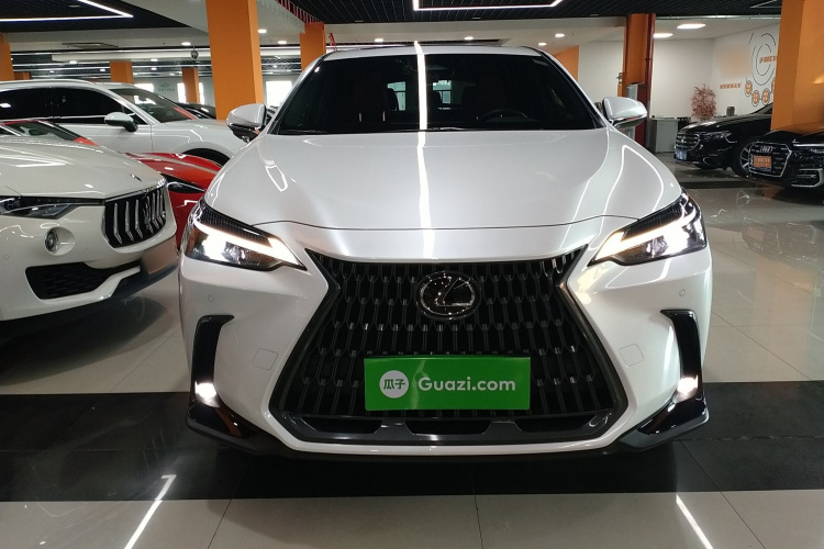 雷克萨斯NX 2023款 260 前驱 创游特别版车身外观6001