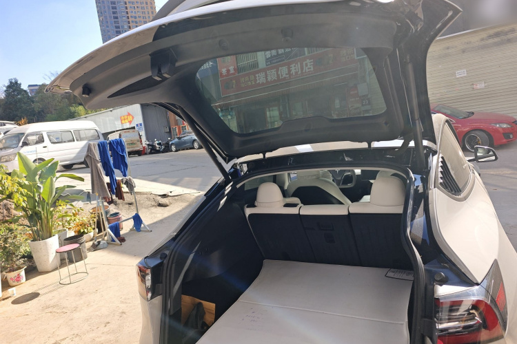 特斯拉 Model Y 2021款 标准续航后驱版局部细节23