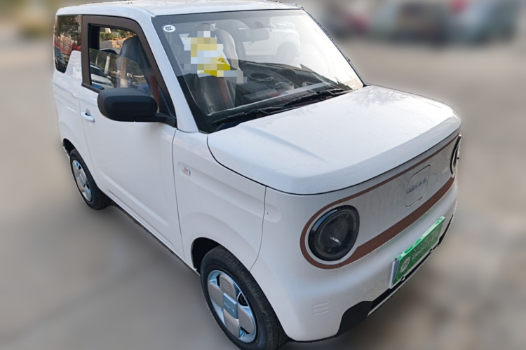 吉利银河 2024款 熊猫mini 200km 耐力熊车身外观3