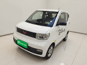 五菱汽车 宏光MINIEV 2020款 轻松款 三元锂