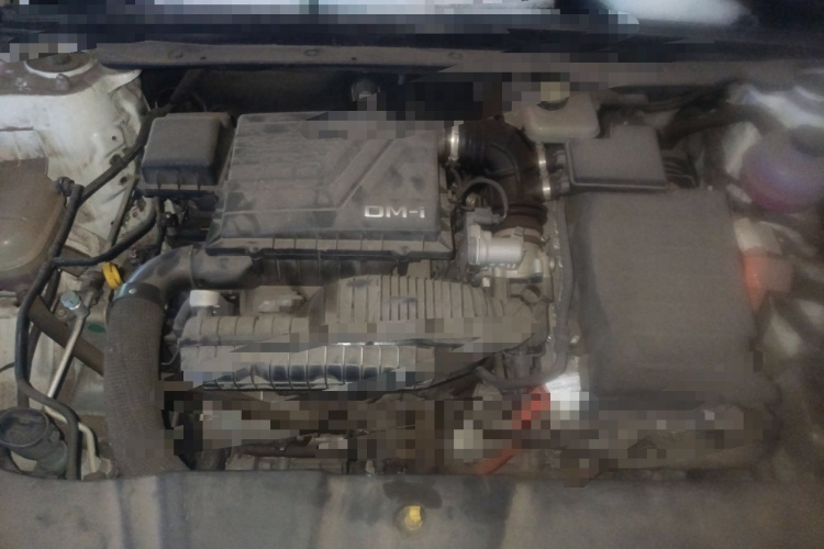 比亚迪 秦PLUS 2023款 冠军版 DM-i 55KM领先型局部细节24