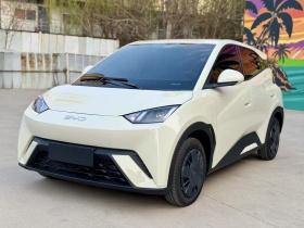 比亚迪 海鸥 2025款 305km 活力版