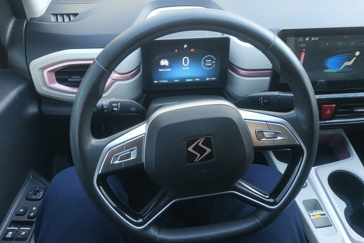 思皓 2022款 花仙子款 四叶草中控内饰13