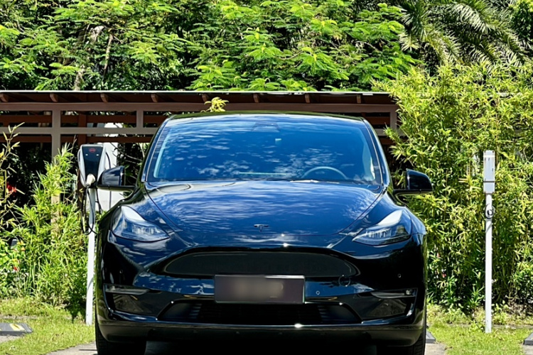 特斯拉 Model Y 2021款 标准续航后驱版车身外观6008