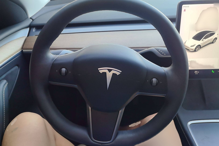 特斯拉 Model Y 2021款 长续航全轮驱动版局部细节13