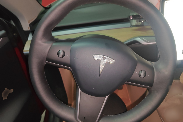 特斯拉 Model Y 2022款 长续航全轮驱动版局部细节13