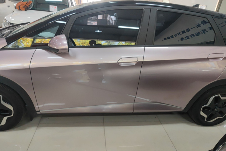 比亚迪 海豚 2021款 405km 时尚版车身外观6003