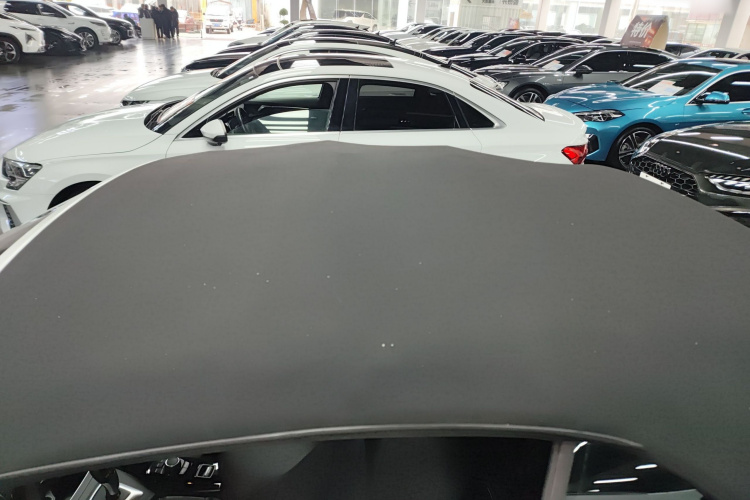 宝马2系(进口) 2019款 225i 敞篷轿跑车 运动设计套装局部细节57