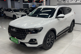 哈弗H6 2023款 国潮版 1.5T 自动都市版