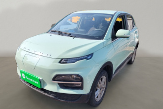 大运 悦虎 2023款 300 标准版