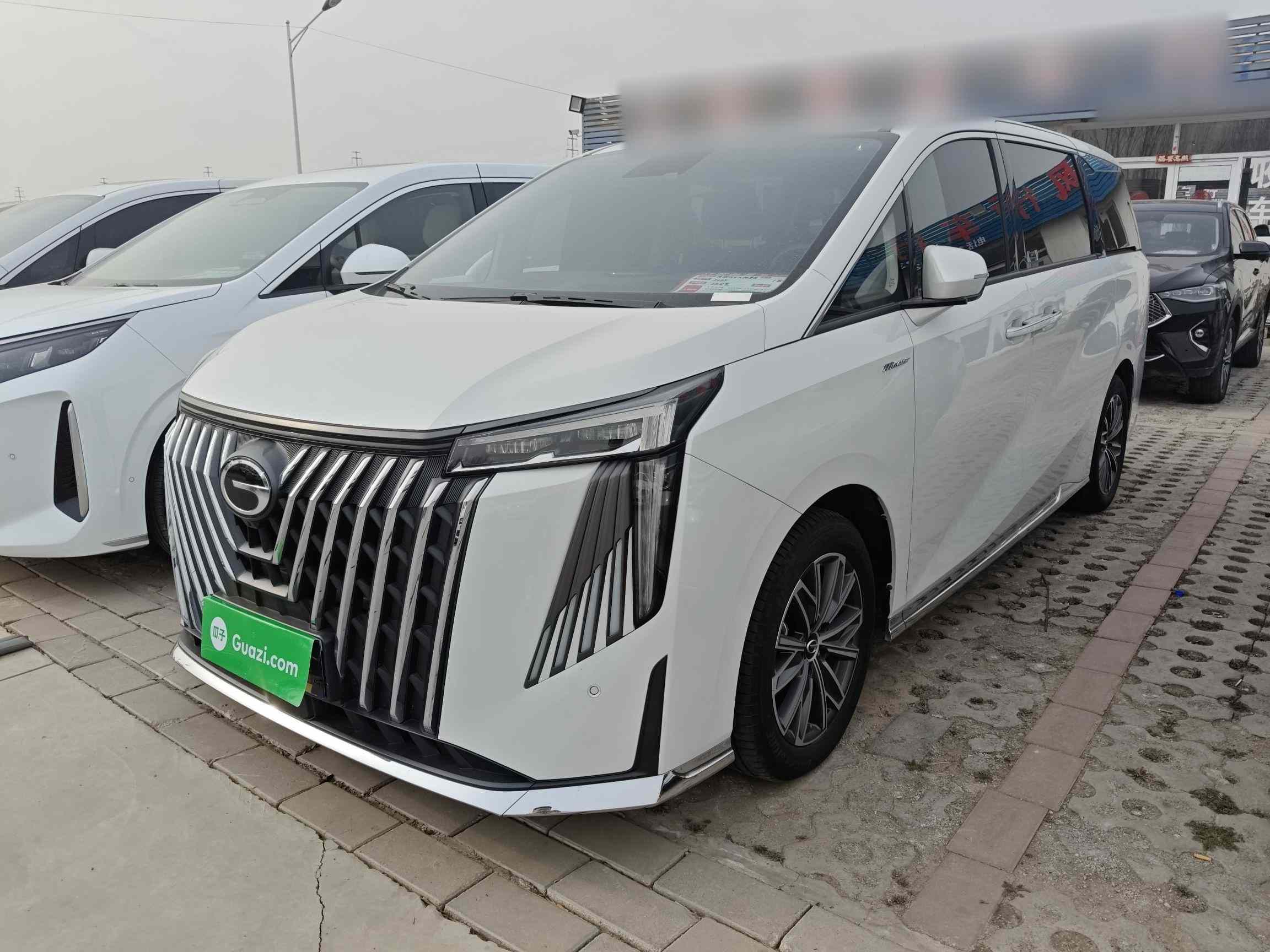 广汽传祺 传祺M8 2024款 大师系列 400T 尊贵版(2)