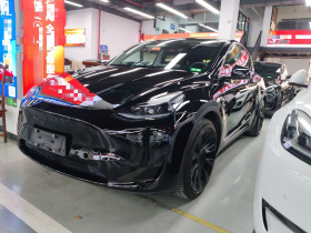 特斯拉 Model Y 2022款 后轮驱动版