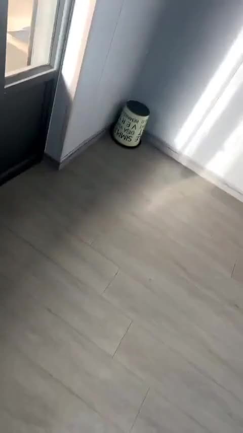 坦克300 2023款 越野版 2.0T 挑战者讲解2