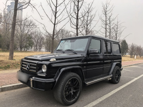 奔驰G级 2013款 G 500