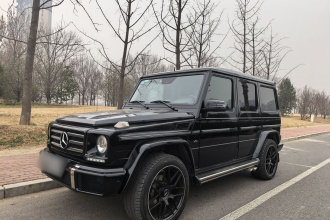 奔驰G级 2013款 G 500