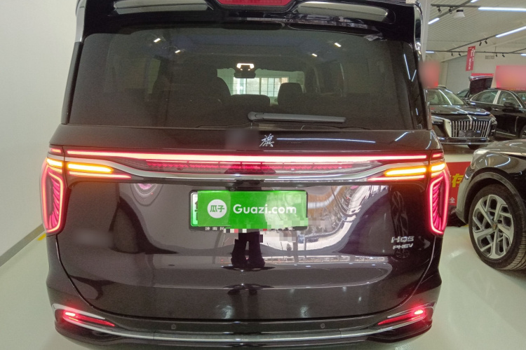 红旗HQ9 PHEV 2024款 2.0T 四驱豪华版车身外观6