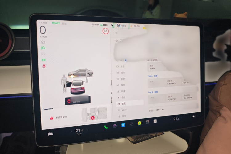 特斯拉 Model 3 2021款 标准续航后驱升级版 3D6局部细节14
