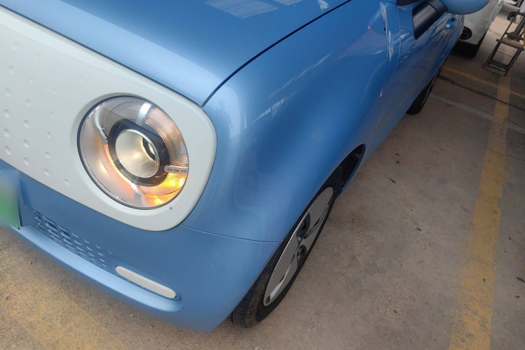 欧拉黑猫 2021款 301km 基础型局部细节36