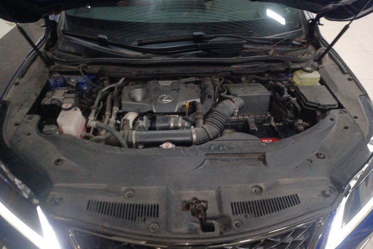 雷克萨斯RX 2021款 300 四驱F SPORT局部细节24