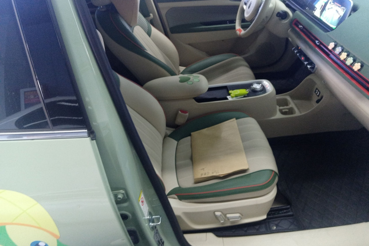 欧拉好猫 2022款 400km标准续航 尊贵型 磷酸铁锂局部细节41