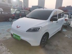 五菱汽车 五菱宏光新能源 2024款 纯电版 300KM 标准型