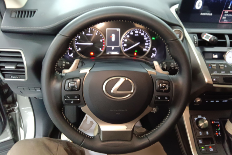 雷克萨斯NX 2020款 300 前驱 锋行版 国V中控内饰13