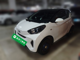 奇瑞 小蚂蚁 2019款 4座智享版 30.6kWh