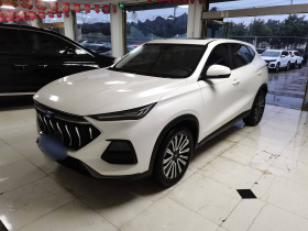 长安欧尚X5 2021款 1.5T DCT尊贵型