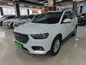 哈弗H6 2021款 运动版 1.5T 自动精英智联型 六边形格栅
