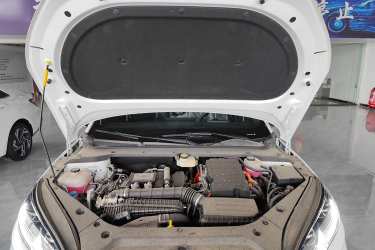 比亚迪 海豹06新能源 2024款 DM-i 120KM尊荣型机舱底盘24