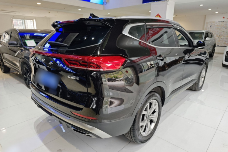 哈弗H6 2021款 国潮版 1.5T 自动冠军版车身外观6003