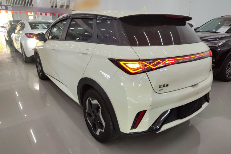 比亚迪 海豚 2021款 405km 时尚版车身外观6003