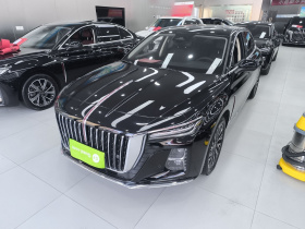 红旗H5 2024款 2.0T 自动智联旗畅版