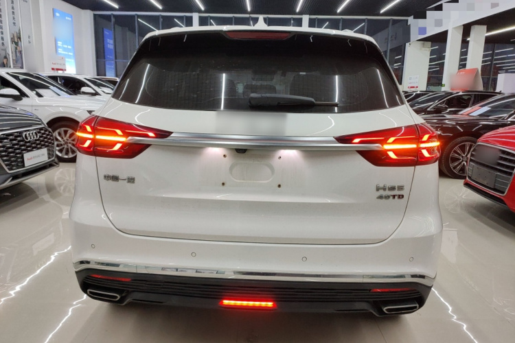 红旗HS5 2022款 2.0T 智联旗享版车身外观6