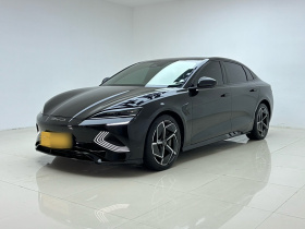 比亚迪 海豹 2023款 冠军版 700km 性能版