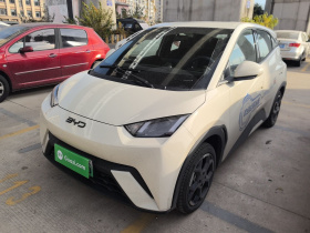 比亚迪 海鸥 2024款 荣耀版 405km 飞翔版