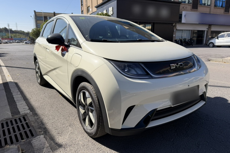 比亚迪 海豚 2025款 420km 自由版车身外观6005