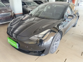 特斯拉 Model 3 2021款 标准续航后驱升级版 3D6