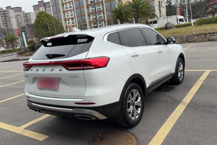 哈弗H6 2021款 国潮版 1.5T 自动冠军版车身外观6003