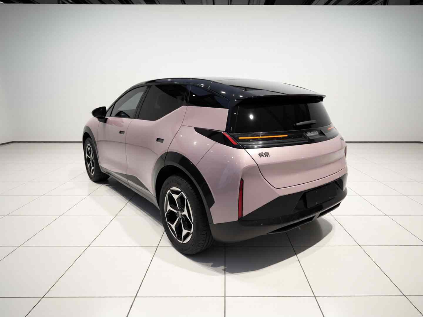 极氪X 2025款 五座后驱版(3)
