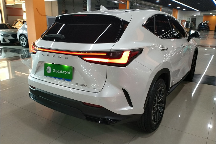 雷克萨斯NX 2023款 260 前驱 创游特别版车身外观6005