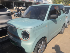 吉利银河 2023款 熊猫mini 200km 耐力熊