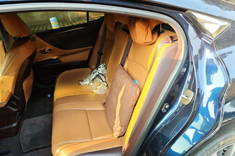 雷克萨斯ES 2020款 300h 卓越版中控内饰21