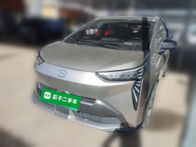 埃安 AION Y 2021款 70 智领活力版