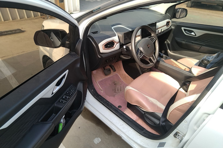 思皓 花仙子 2021款 集美版 302km 豪华型中控内饰20