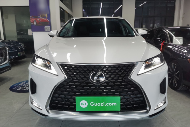 雷克萨斯RX 2020款 改款 300 两驱精英版车身外观2