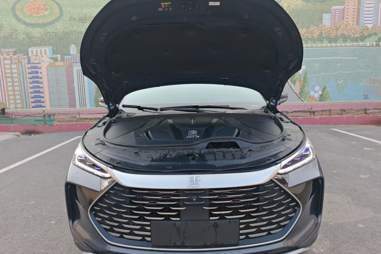 比亚迪 唐新能源 2022款 DM-p 215KM 四驱旗舰型局部细节24