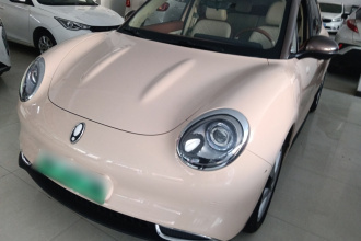 欧拉好猫 2021款 400km标准续航 维纳斯版 三元锂