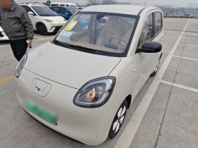 五菱汽车 宏光MINIEV 2025款 四门版 进阶款