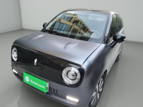 欧拉黑猫 2022款 351km 标准型 三元锂